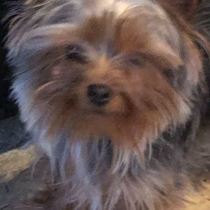 Meet your Posher, Mason